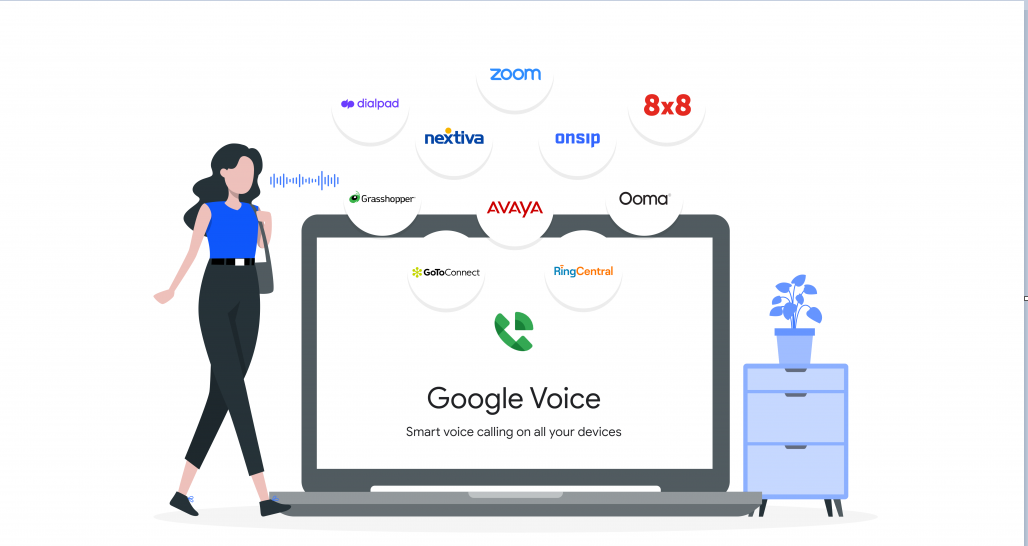 google voice port number
